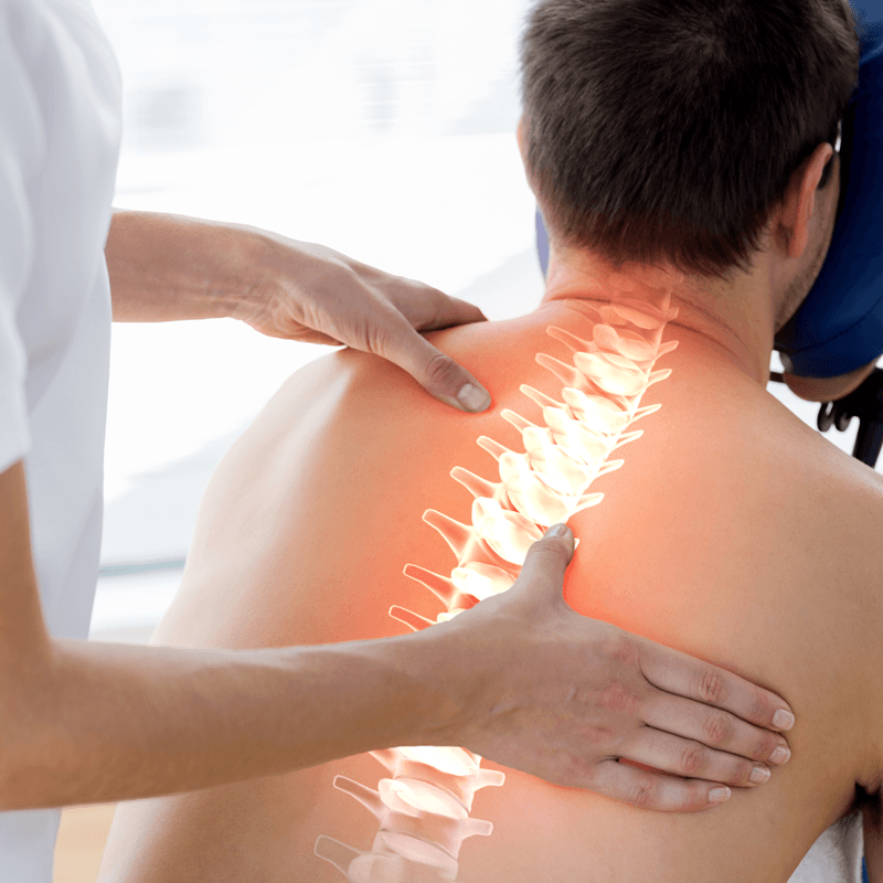 Portland chiropractors at Back To Life Chiropractic