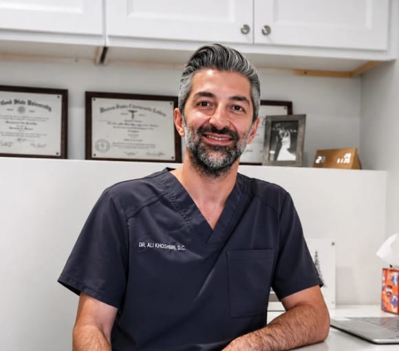 Dr. Ali Khoshbin, DC — chiropractor at Back To Life Chiropractic in Portland, OR